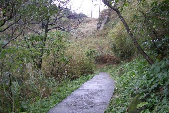 龍崗步道場景照片