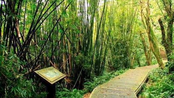 荖寮坑礦業生態園區場景照片